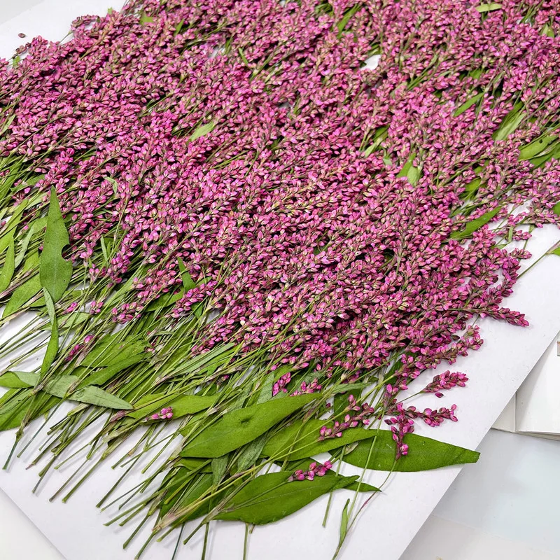 Phone Cases Wholesale - 120pcs,5-8cm,Wholesale nature pressed flower mini branches,DIY