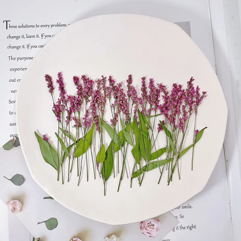 120pcs,5-8cm,Wholesale nature  - Phone Cases Wholesale recensione e prezzo